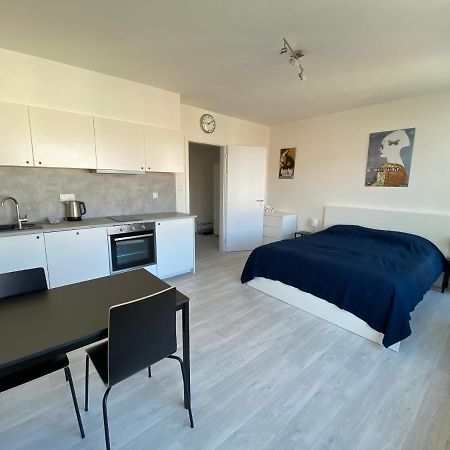 Cozy Studio With Garage In The City Center Plzeň Buitenkant foto
